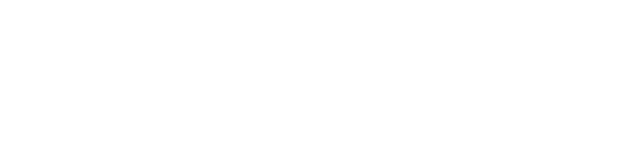 Pitsen Bully Logo